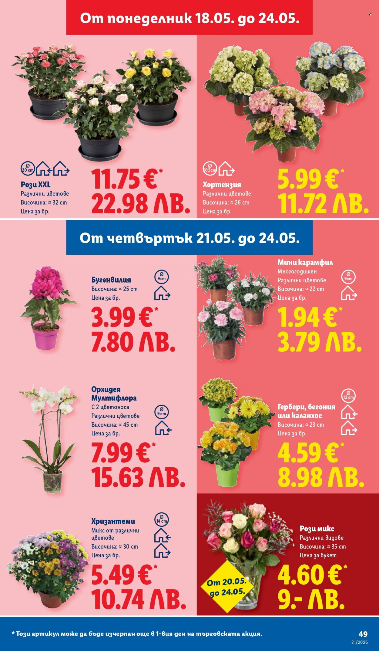 Брошура на Лидл - 18.05.2026 - 24.05.2026. Страница 49
