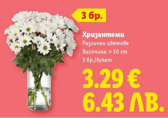 Хризантеми