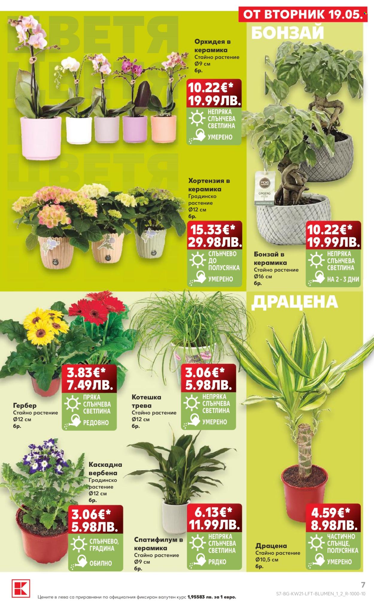 Брошура на Кауфланд - 18.05.2026 - 24.05.2026. Страница 7