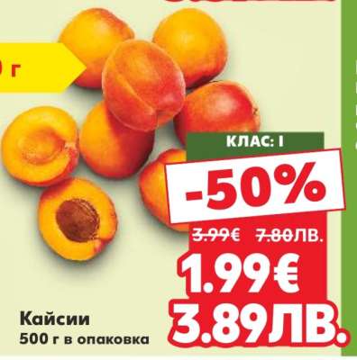 Кайсии