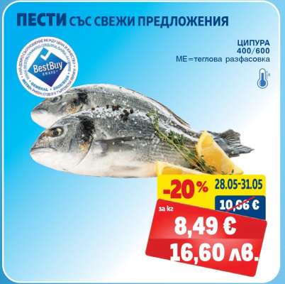 Ципура