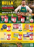leaflet