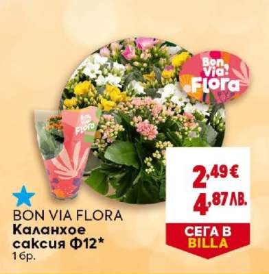 BON VIA FLORA