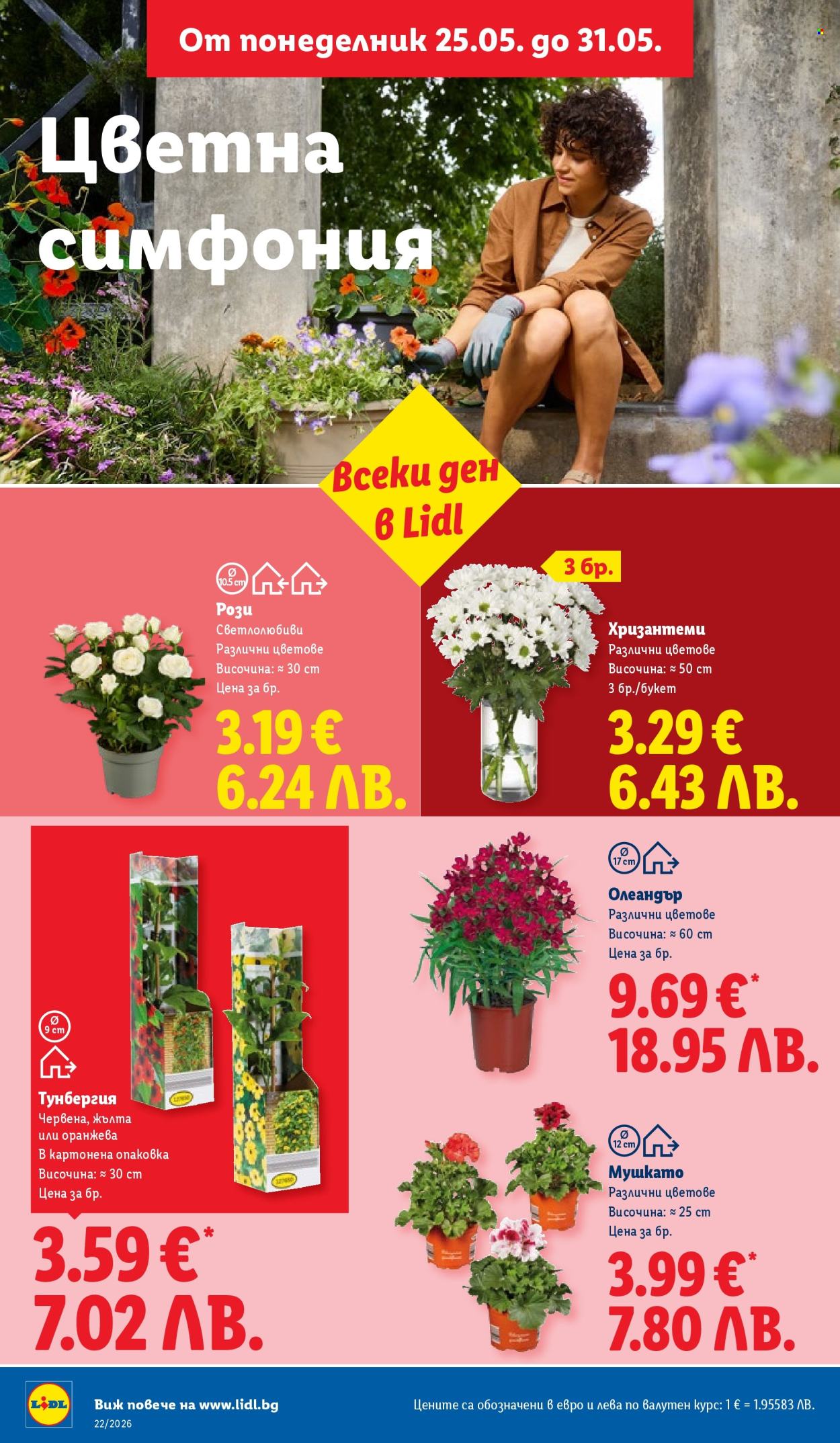 Брошура на Лидл - 25.05.2026 - 31.05.2026. Страница 54