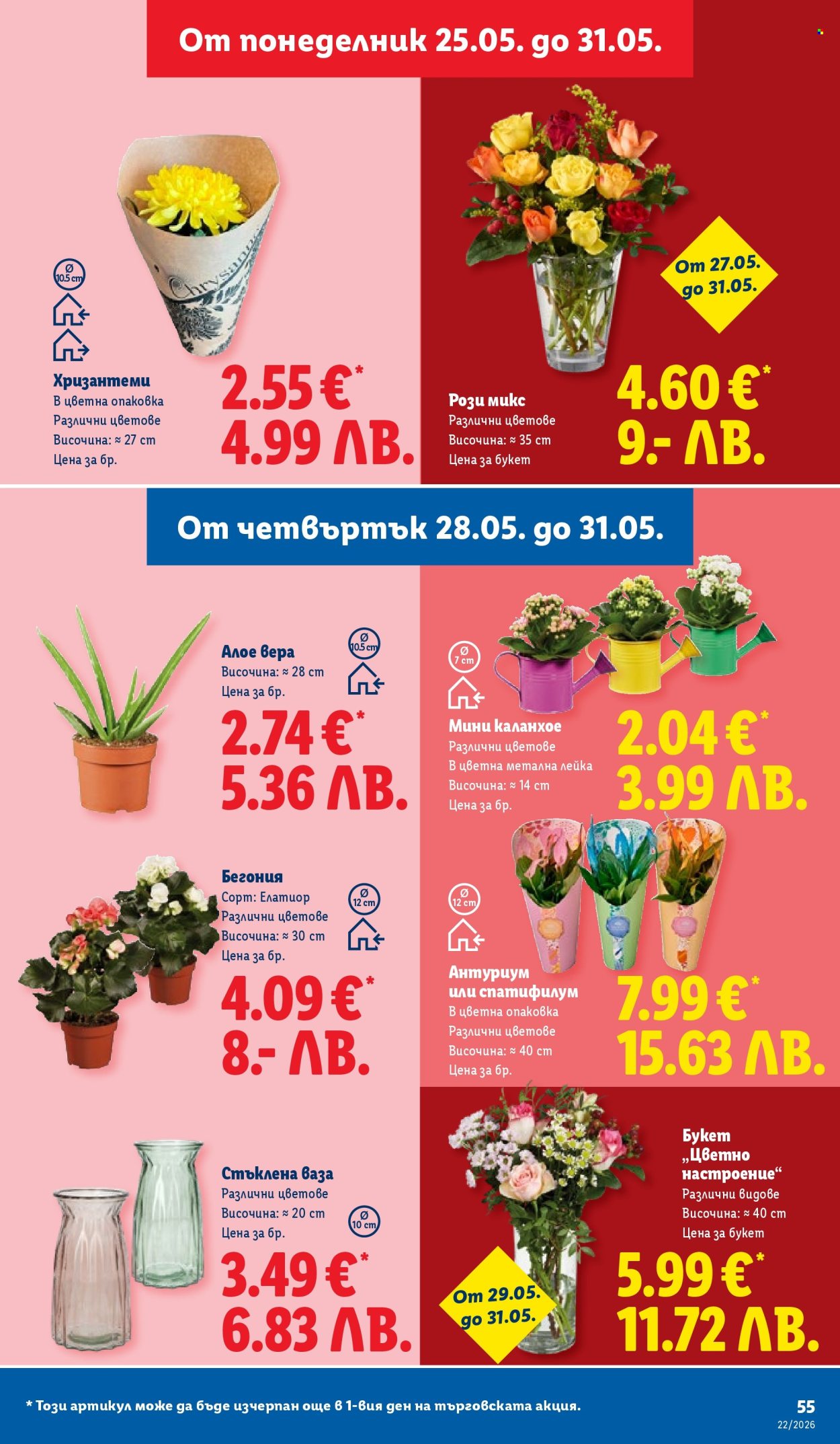 Брошура на Лидл - 25.05.2026 - 31.05.2026. Страница 55
