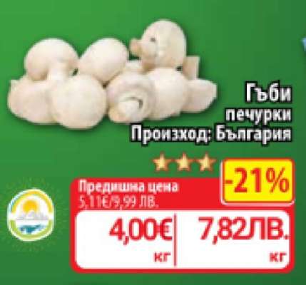 Гъби печурки