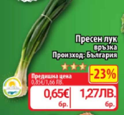 Пресен лук връзка
