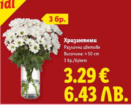 Хризантеми
