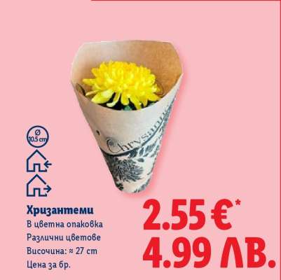 Хризантеми
