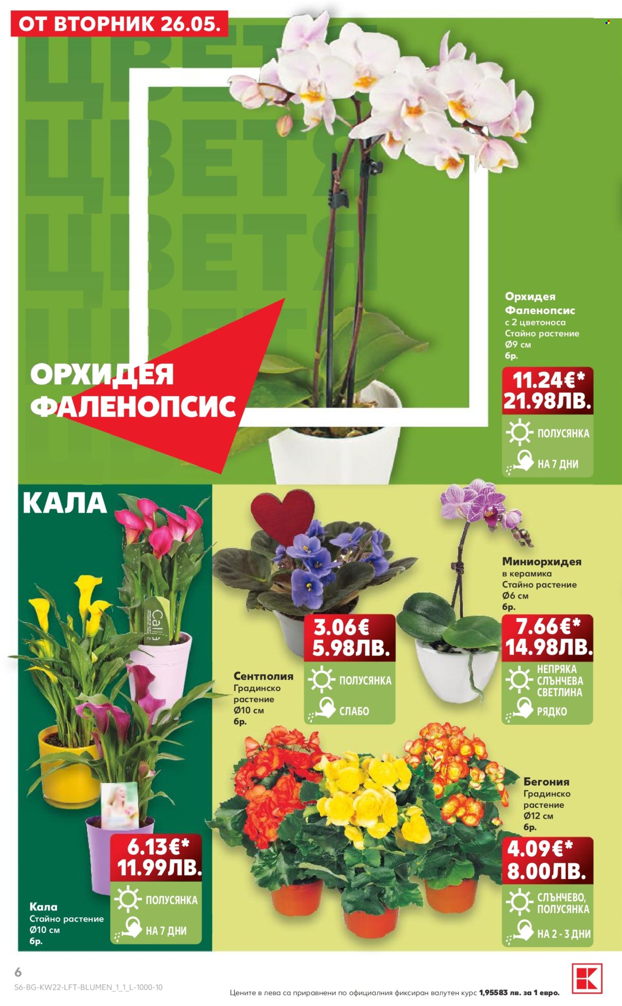 Брошура на Кауфланд - 25.05.2026 - 31.05.2026. Страница 6