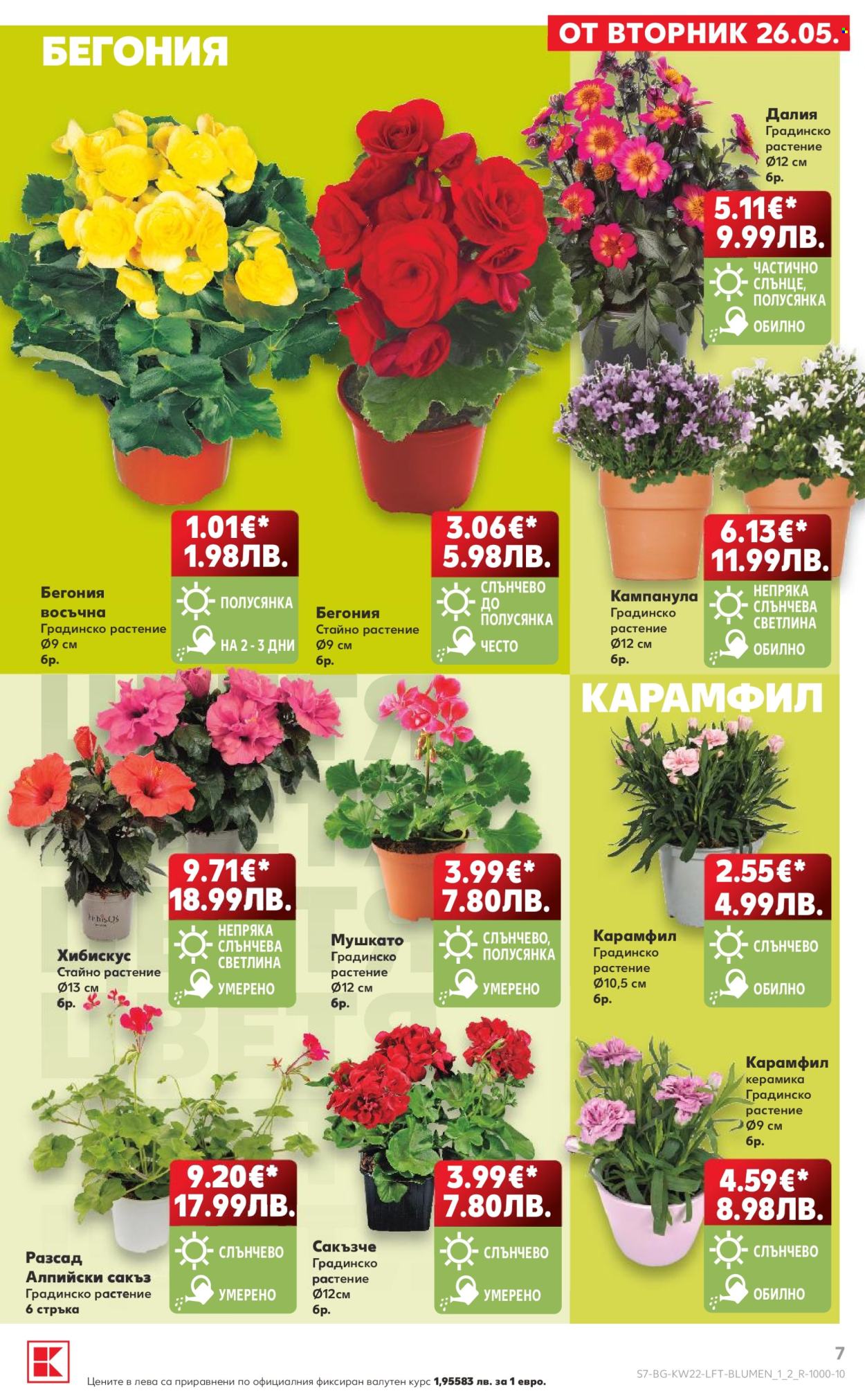 Брошура на Кауфланд - 25.05.2026 - 31.05.2026. Страница 7