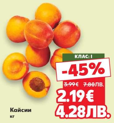 Кайсии