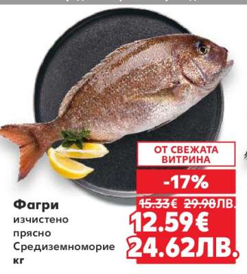 Фагри