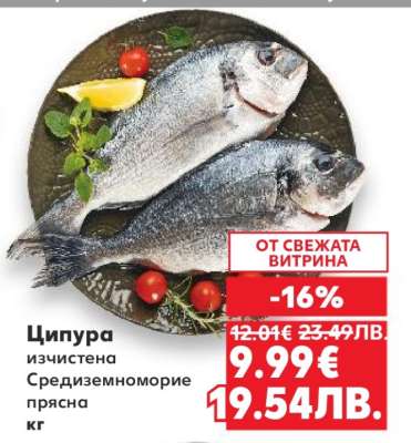 Ципура