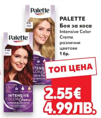 PALETTE Боя за коса
