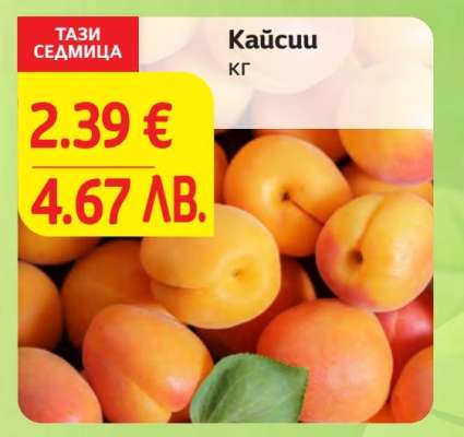 Кайсии