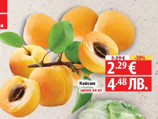 Кайсии