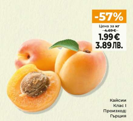 Кайсии