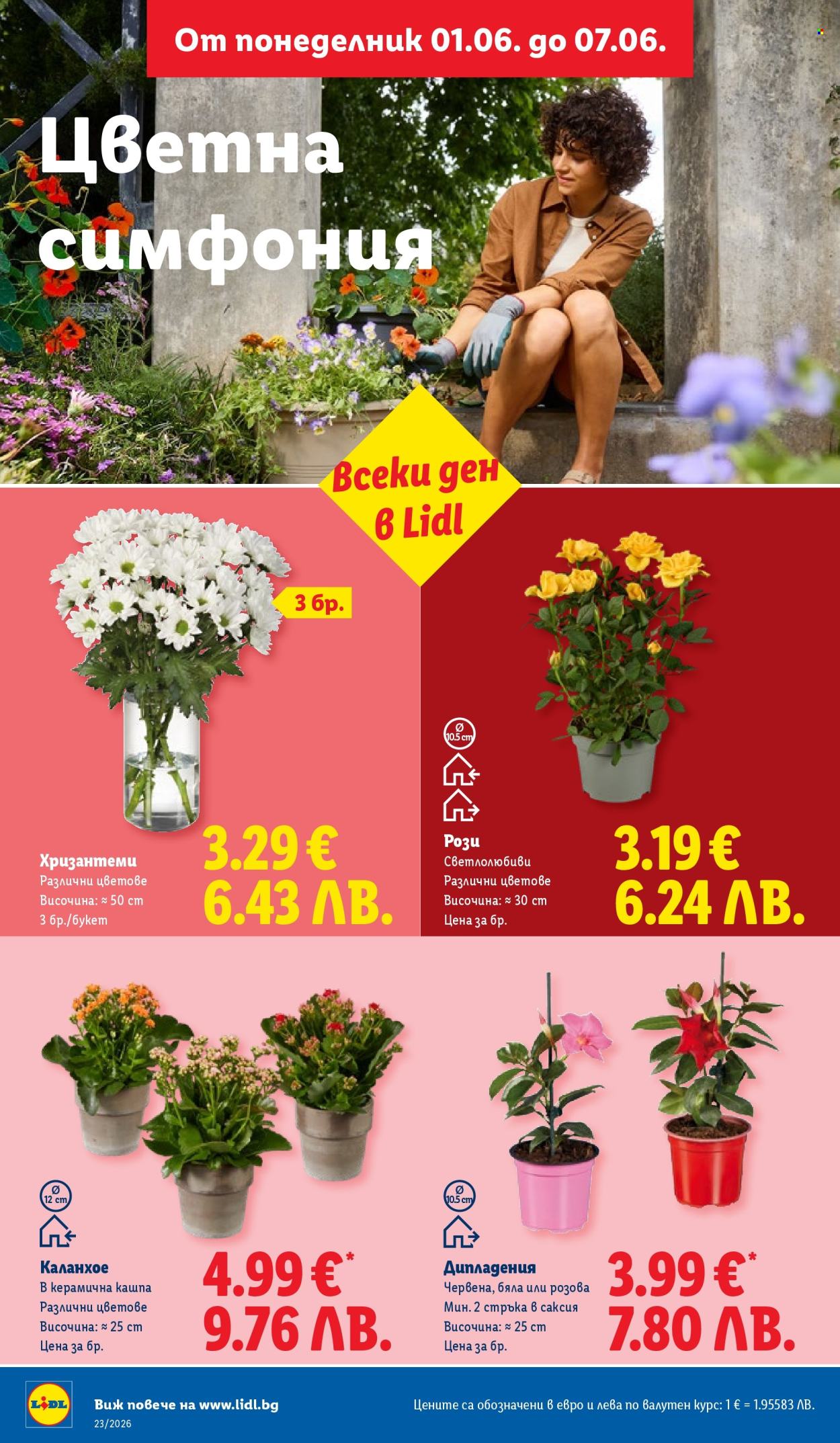 Брошура на Лидл - 01.06.2026 - 07.06.2026. Страница 48