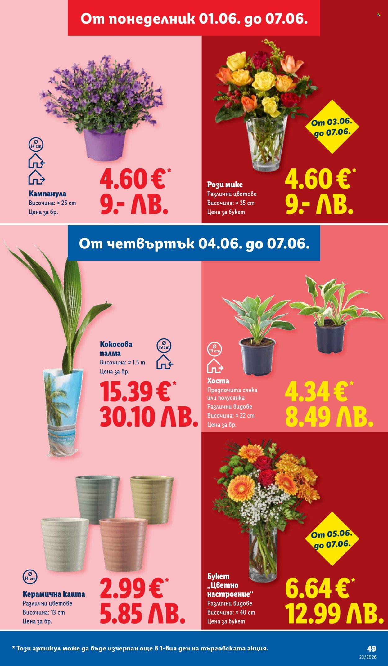 Брошура на Лидл - 01.06.2026 - 07.06.2026. Страница 49