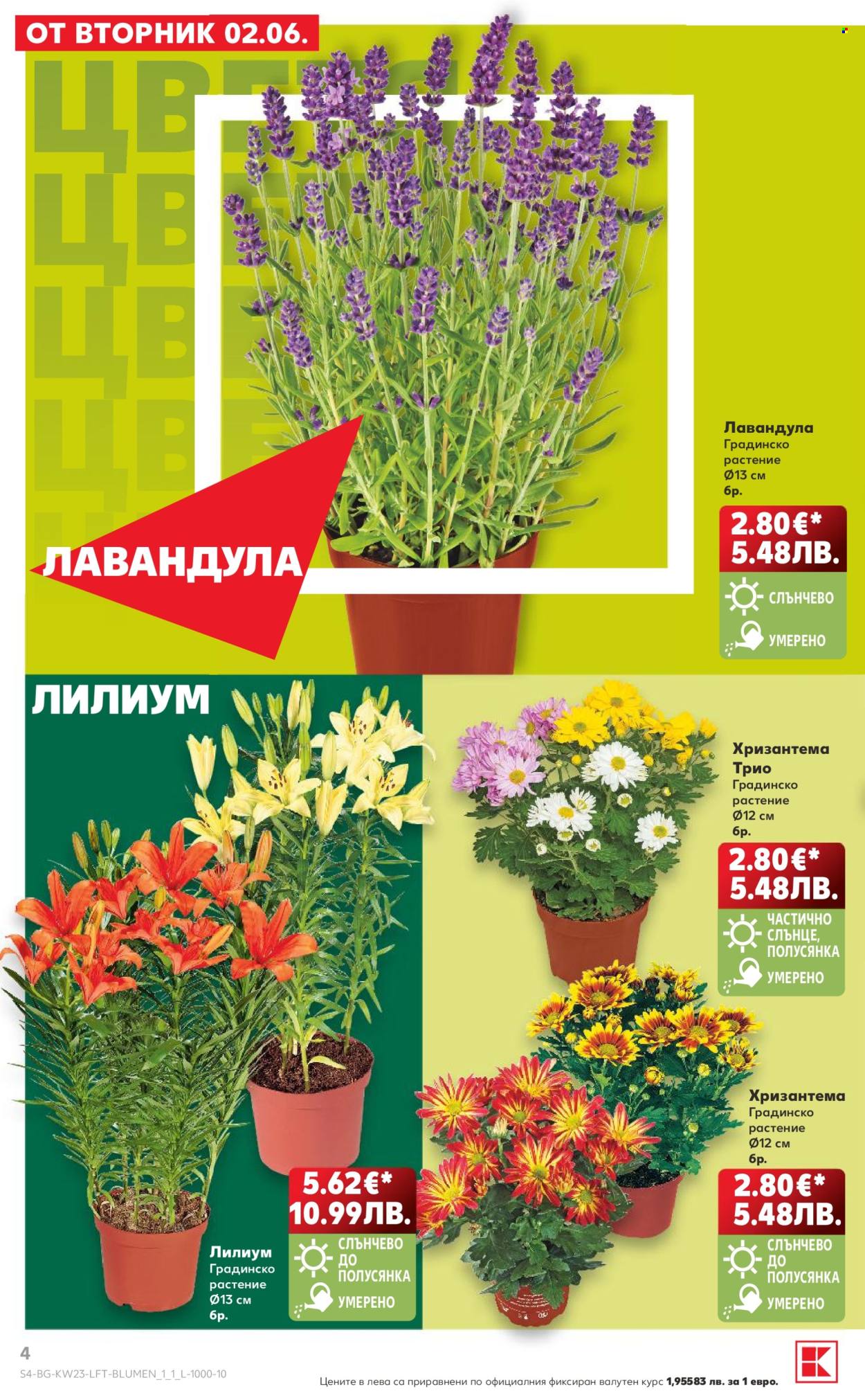 Брошура на Кауфланд - 01.06.2026 - 07.06.2026. Страница 4