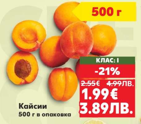 Кайсии