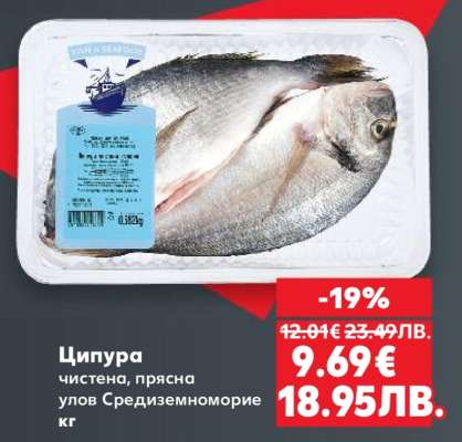 Ципура