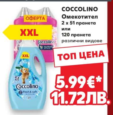COCCOLINO