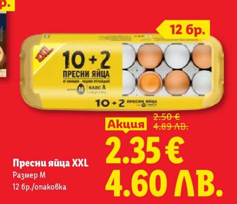 Пресни яйца XXL