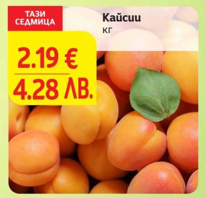 Кайсии