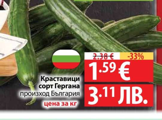 Краставици сорт Гергана