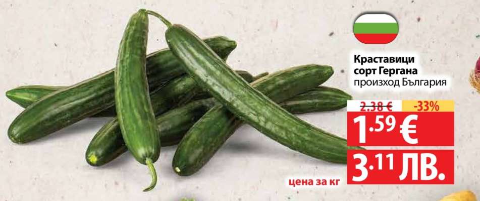 Краставици сорт Гергана