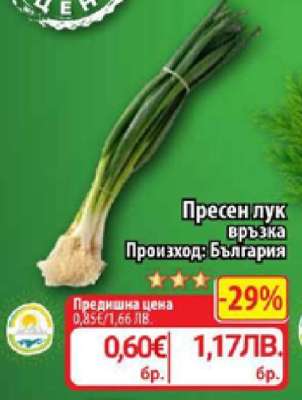 Пресен лук връзка