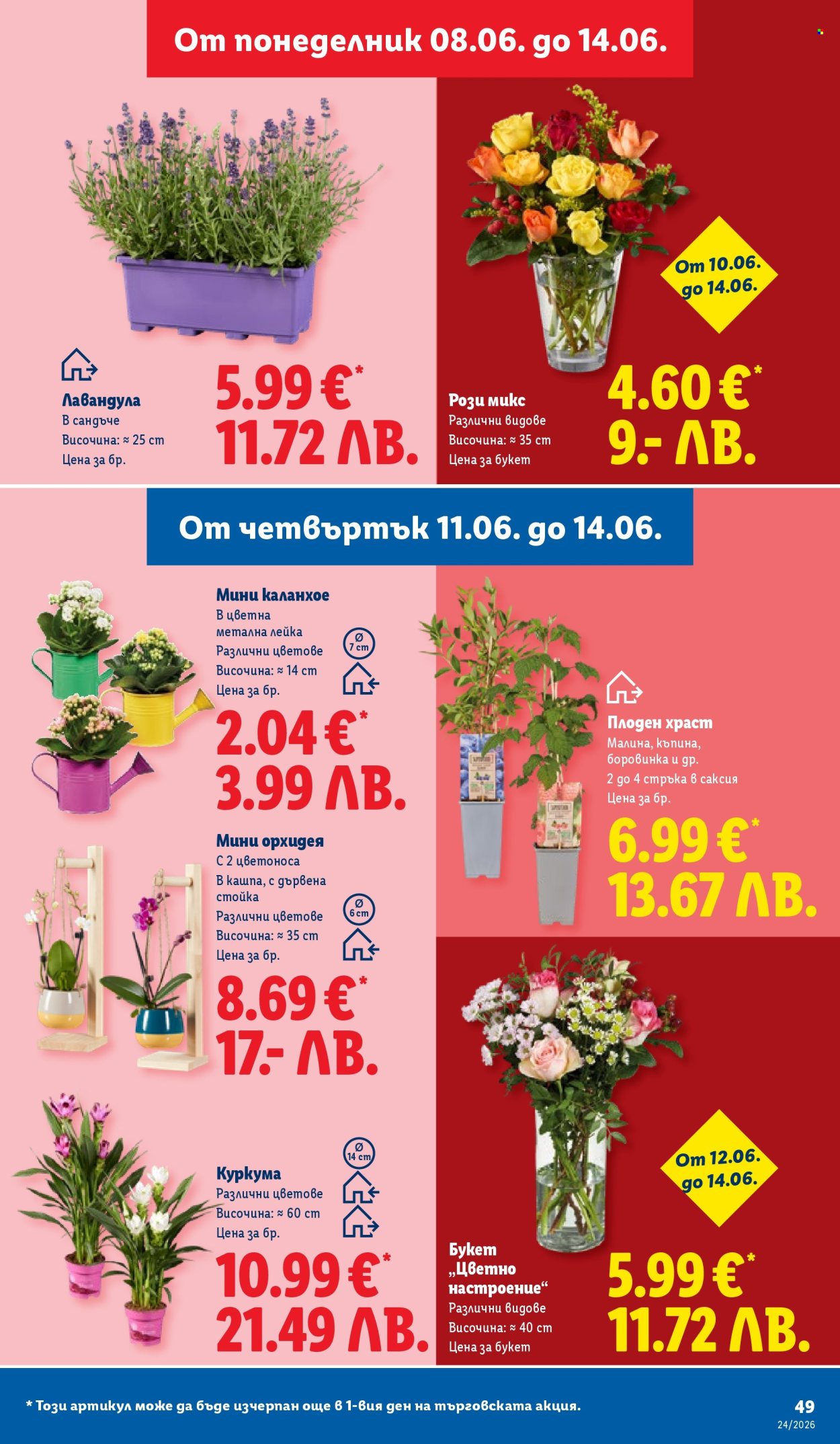 Брошура на Лидл - 08.06.2026 - 14.06.2026. Страница 49