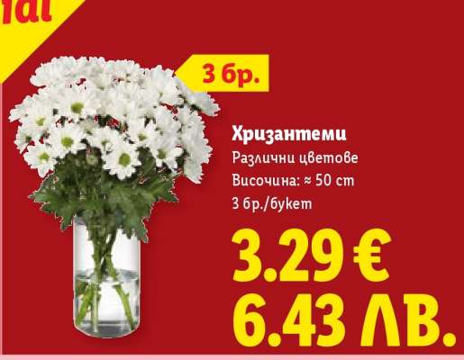 Хризантеми