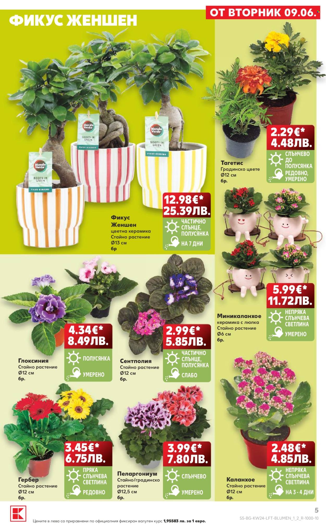 Брошура на Кауфланд - 08.06.2026 - 14.06.2026. Страница 5