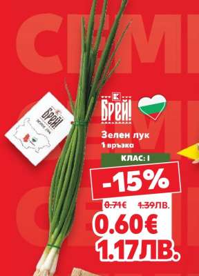 Зелен лук