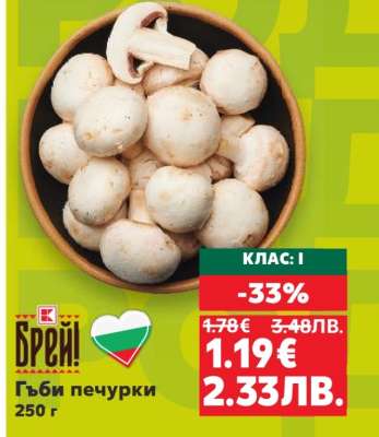 Гъби печурки