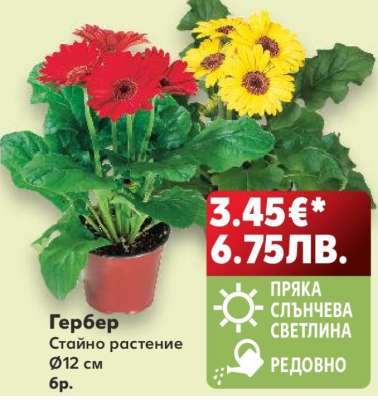 Гербер