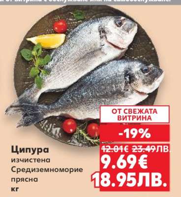 Ципура