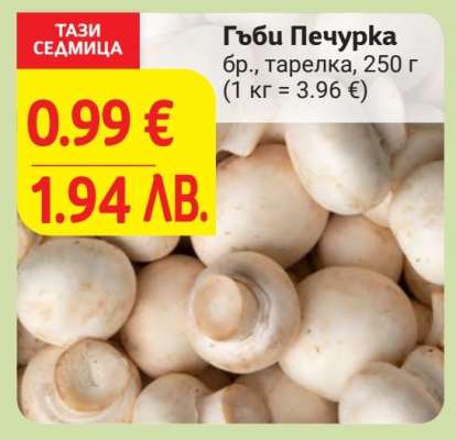 Гъби печурка