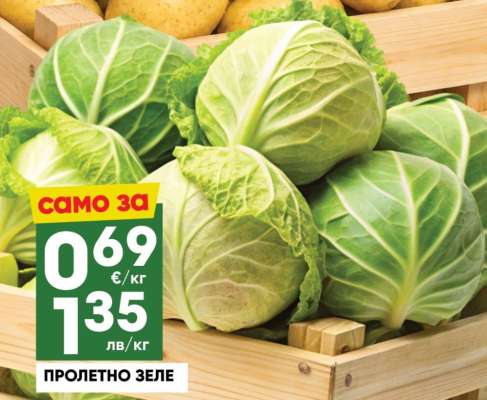ПРОЛЕТНО ЗЕЛЕ