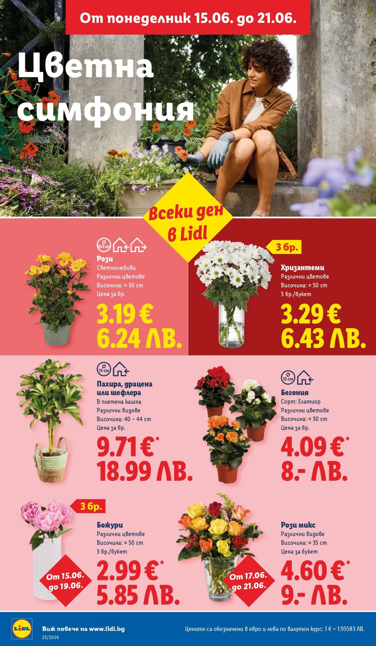 Брошура на Лидл - 15.06.2026 - 21.06.2026. Страница 46