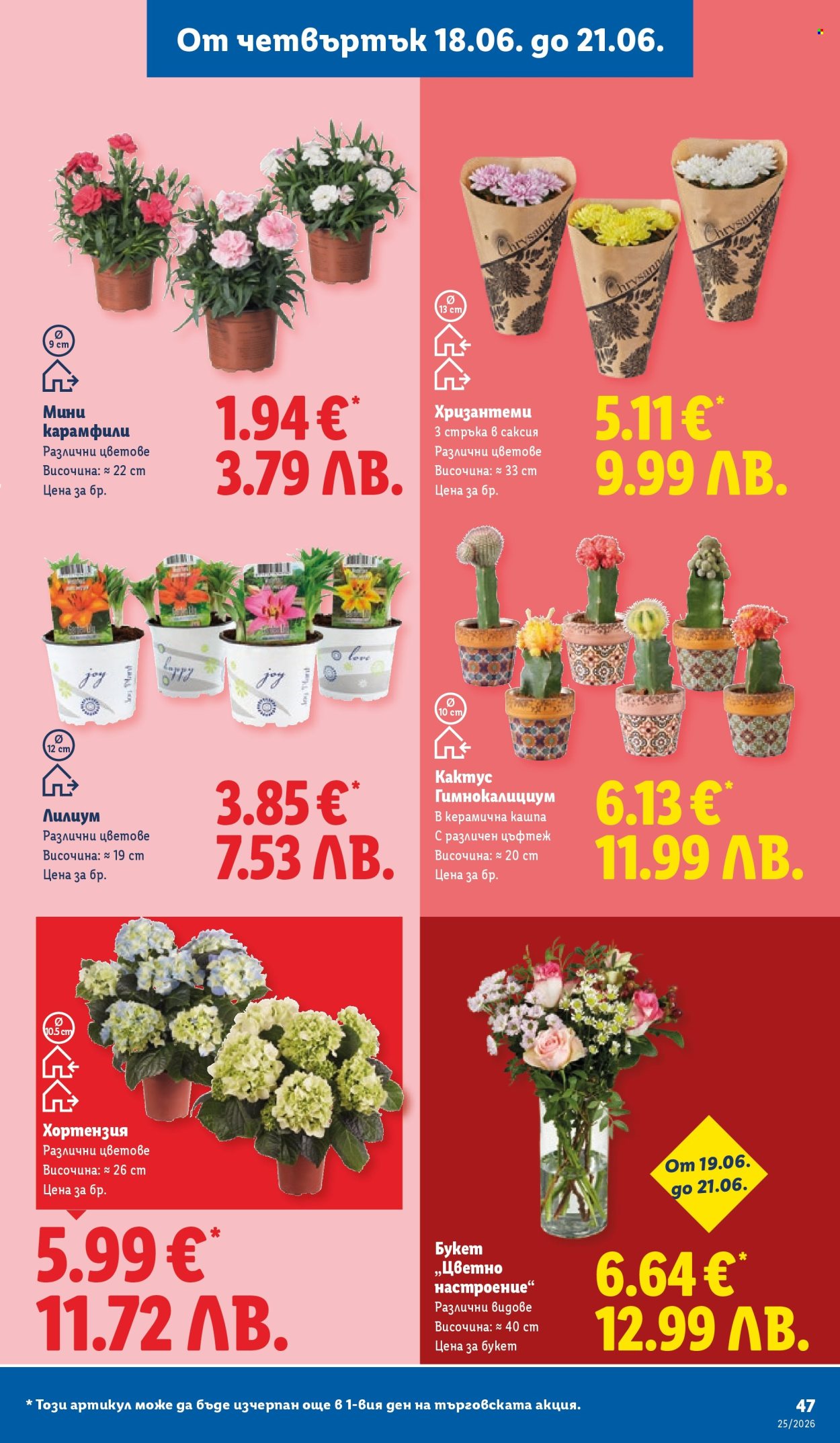 Брошура на Лидл - 15.06.2026 - 21.06.2026. Страница 47