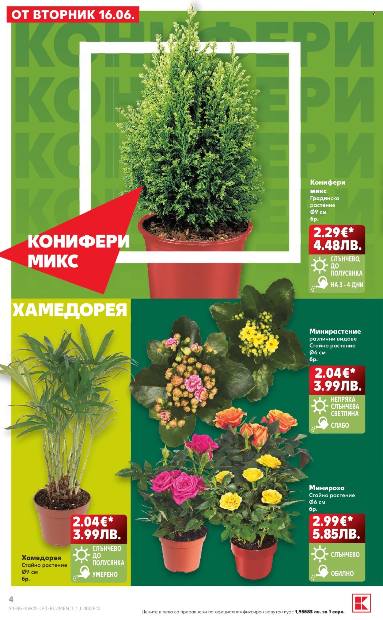 Брошура на Кауфланд - 15.06.2026 - 21.06.2026. Страница 4