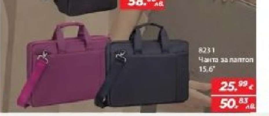 8231