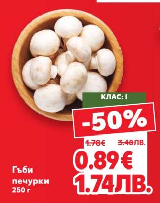 Гъби печурки