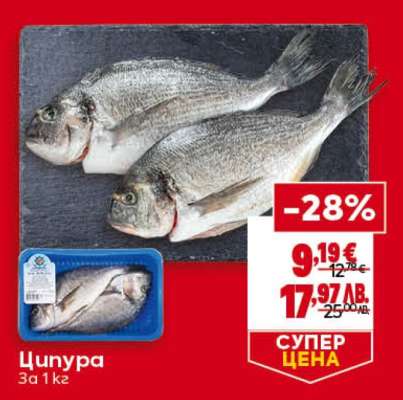 Ципура