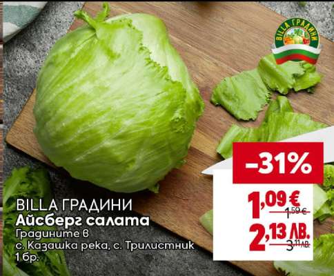 Айсберг салата