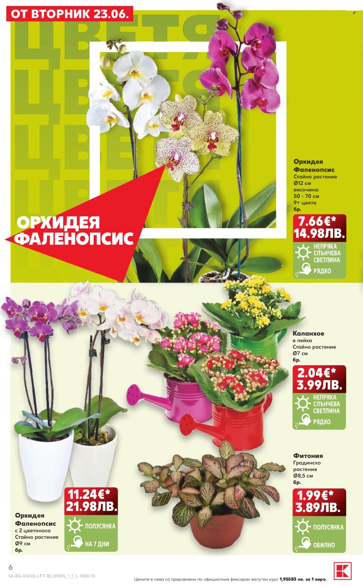 Брошура на Кауфланд - 22.06.2026 - 28.06.2026. Страница 6